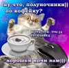 zaluppoVIP
