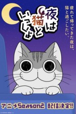 Постер к аниме Вечера с кошкой 2 сезон