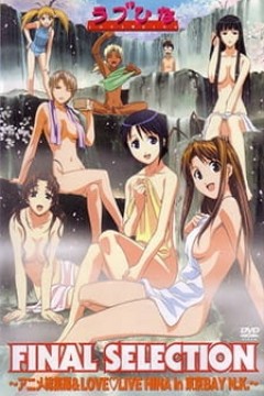 Постер к аниме Любовь и Хина: Окончательный выбор