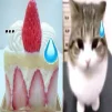 myrrmedd