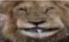 cmertvnishite