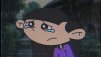 limpid_cat
