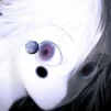 Dizzzi