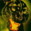 IamPantheR