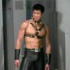 Fanfrost