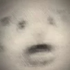 BL0XR0BR0
