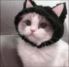 Dobryashka