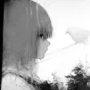 Miss Awake