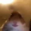 osas.exe