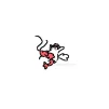 face_frog_kwa