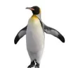 pingwik