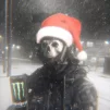 MrGhost