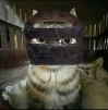 rostyankss222