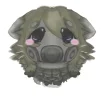 FoxiLiter