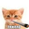 mimerriqq