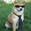bruno_q