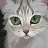 kontondesu