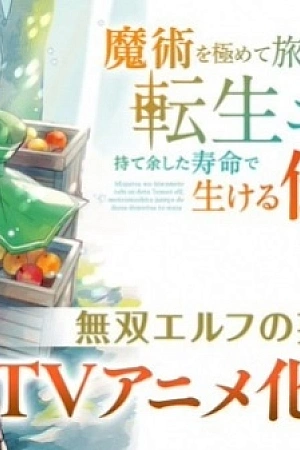 Постер к аниме Эльф-реинкарнатор, достигший вершин магии